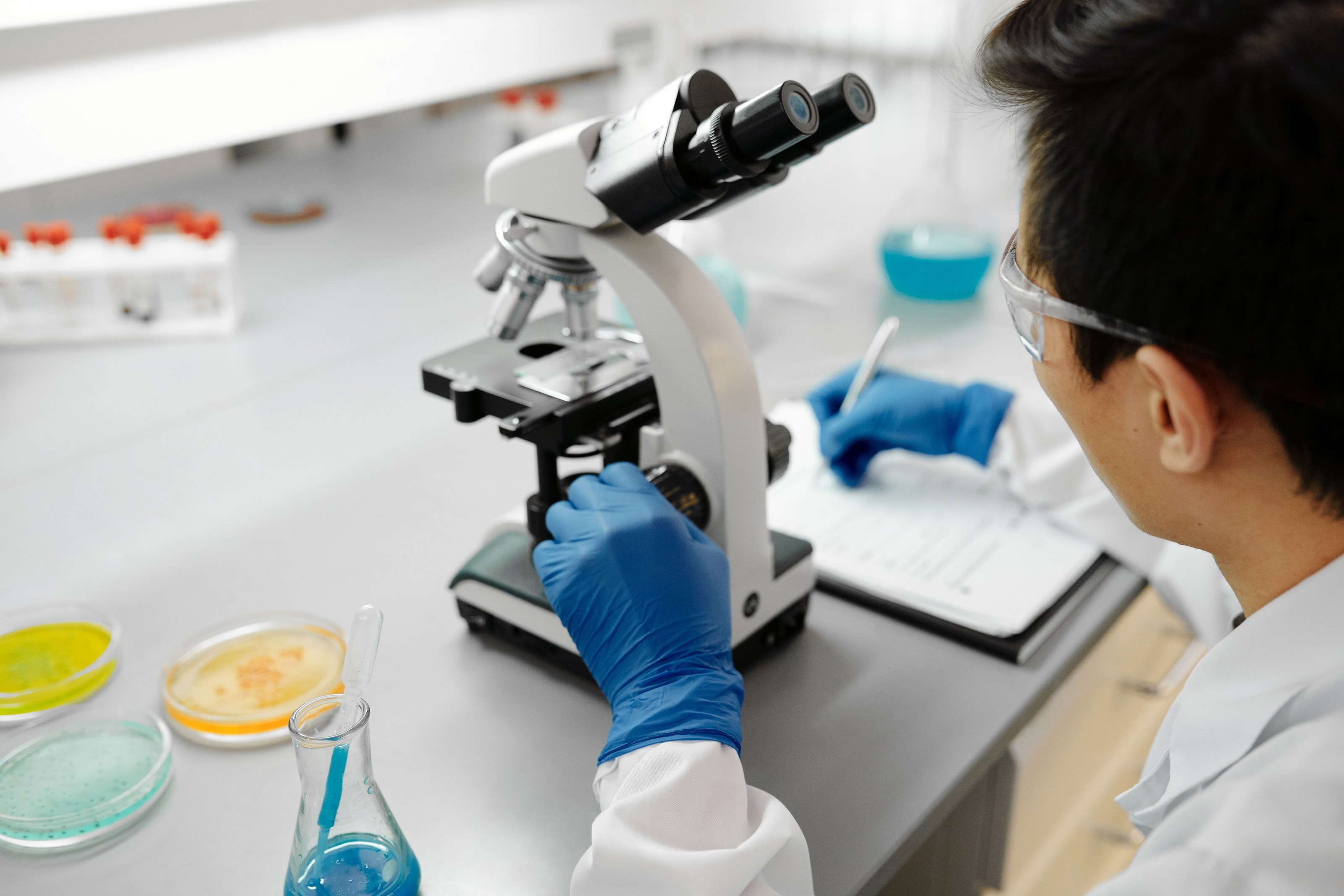 A life sciences researcher analysing samples with a microscope